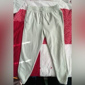 TNA Cozy Fleece Boyfriend Jogger Pants in Mint- Ladies M